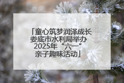 童心筑梦润泽成长 娄底市水利局举办2025年“六一”亲子趣味活动