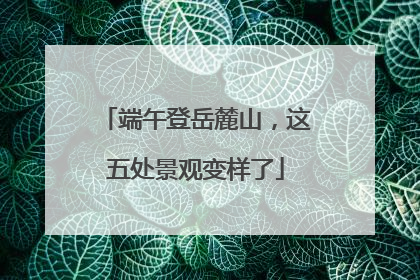 端午登岳麓山，这五处景观变样了
