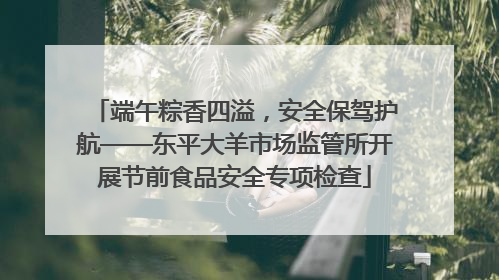 端午粽香四溢，安全保驾护航——东平大羊市场监管所开展节前食品安全专项检查