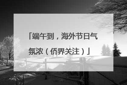 端午到，海外节日气氛浓（侨界关注）