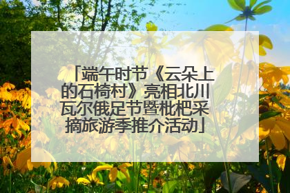 端午时节《云朵上的石椅村》亮相北川瓦尔俄足节暨枇杷采摘旅游季推介活动