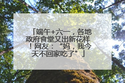 端午+六一，各地政府食堂又出新花样！网友：“妈，我今天不回家吃了”