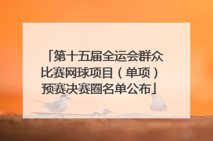 第十五届全运会群众比赛网球项目（单项）预赛决赛圈名单公布