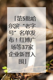 第5批哈尔滨“老字号”名单发布！红博广场等37家企业新晋入围