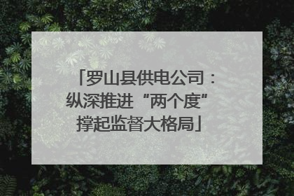 罗山县供电公司：纵深推进“两个度” 撑起监督大格局