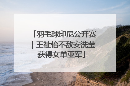 羽毛球印尼公开赛｜王祉怡不敌安洗莹 获得女单亚军