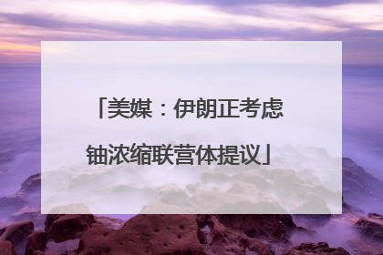 美媒：伊朗正考虑铀浓缩联营体提议