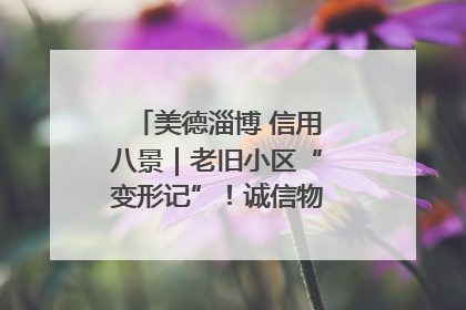 美德淄博 信用八景｜老旧小区“变形记”！诚信物业焐热居民心窝