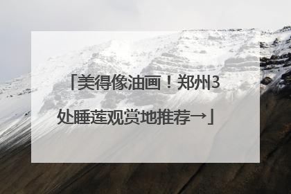 美得像油画！郑州3处睡莲观赏地推荐→