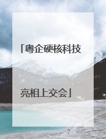 粤企硬核科技亮相上交会