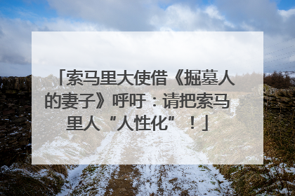 索马里大使借《掘墓人的妻子》呼吁：请把索马里人“人性化”！