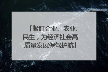 紧盯企业、农业、民生，为经济社会高质量发展保驾护航
