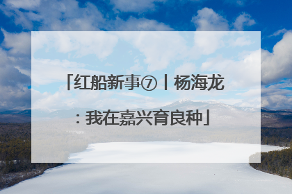 红船新事⑦丨杨海龙：我在嘉兴育良种