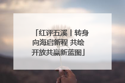 红评五溪丨转身向海启新程 共绘开放共赢新蓝图