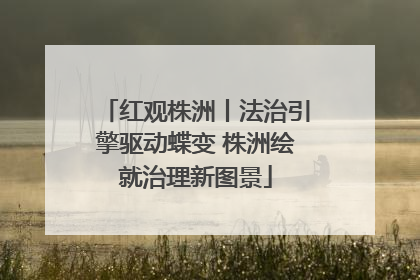 红观株洲丨法治引擎驱动蝶变 株洲绘就治理新图景