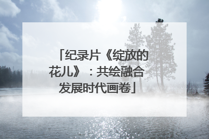 纪录片《绽放的花儿》：共绘融合发展时代画卷