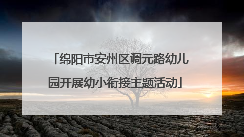绵阳市安州区调元路幼儿园开展幼小衔接主题活动