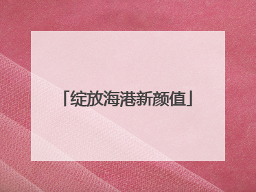 绽放海港新颜值