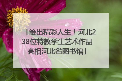 绘出精彩人生！河北238位特教学生艺术作品亮相河北省图书馆