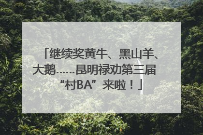 继续奖黄牛、黑山羊、大鹅……昆明禄劝第三届“村BA”来啦！