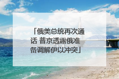 俄美总统再次通话 普京透露俄准备调解伊以冲突