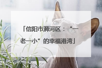 信阳市浉河区：“一老一小”的幸福港湾