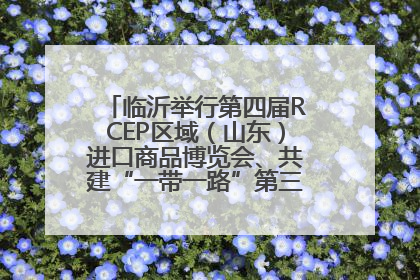 临沂举行第四届RCEP区域（山东）进口商品博览会、共建“一带一路”第三届临沂商城国际采购商大会新闻发布会