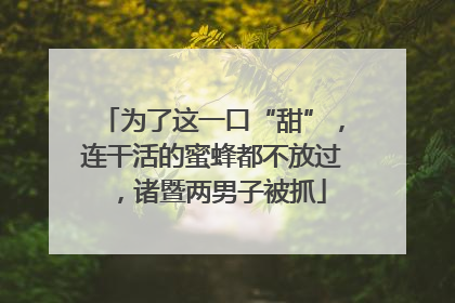 为了这一口“甜”，连干活的蜜蜂都不放过，诸暨两男子被抓