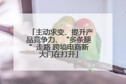 主动求变、提升产品竞争力、“多条腿”走路 跨境电商新大门在打开
