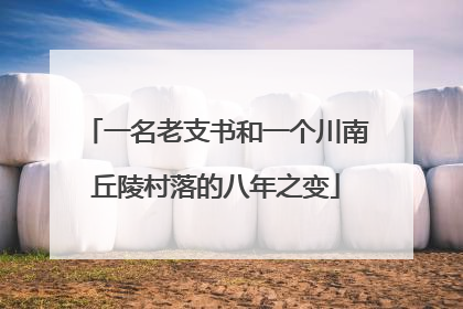 一名老支书和一个川南丘陵村落的八年之变