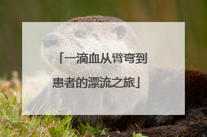 一滴血从臂弯到患者的漂流之旅