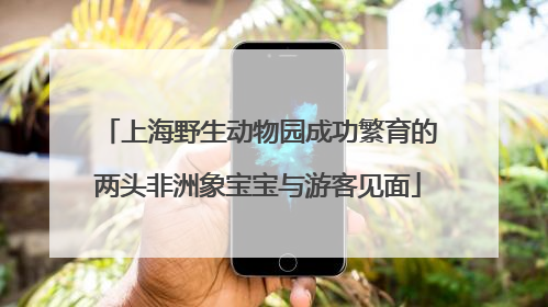 上海野生动物园成功繁育的两头非洲象宝宝与游客见面
