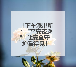 下车派出所：“平安夜巡” 让安全守护看得见