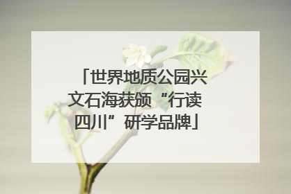 世界地质公园兴文石海获颁“行读四川”研学品牌