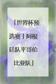 世界杯预选赛丨阿根廷队平哥伦比亚队