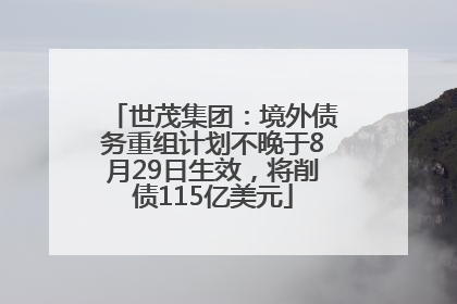 世茂集团：境外债务重组计划不晚于8月29日生效，将削债115亿美元