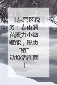 东营区税务：春雨润苗聚力小微赋能，税惠 “链” 动焕活商圈