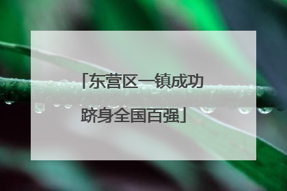 东营区一镇成功跻身全国百强
