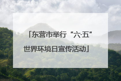 东营市举行“六·五”世界环境日宣传活动