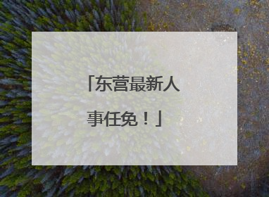东营最新人事任免！
