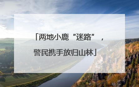 两地小鹿“迷路”，警民携手放归山林