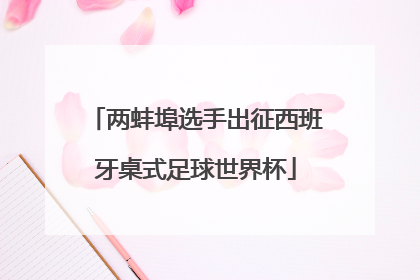 两蚌埠选手出征西班牙桌式足球世界杯