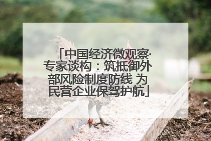 中国经济微观察·专家谈构：筑抵御外部风险制度防线 为民营企业保驾护航
