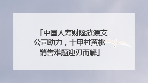 中国人寿财险涟源支公司助力，十甲村黄桃销售难题迎刃而解