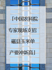 中国农科院专家现场支招 磁县玉米单产要冲新高