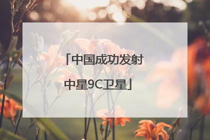 中国成功发射中星9C卫星