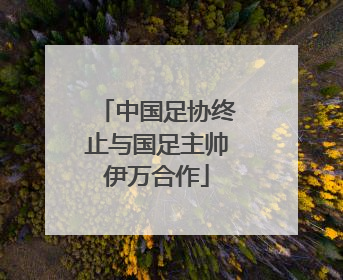 中国足协终止与国足主帅伊万合作