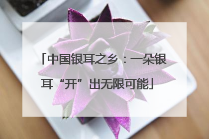 中国银耳之乡：一朵银耳“开”出无限可能