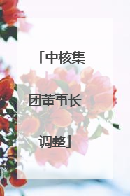 中核集团董事长调整