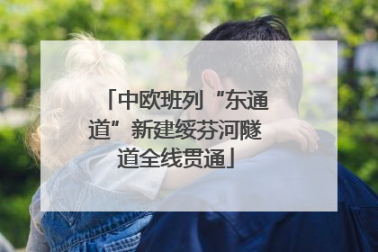 中欧班列“东通道”新建绥芬河隧道全线贯通